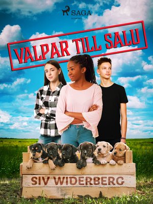cover image of Valpar till salu